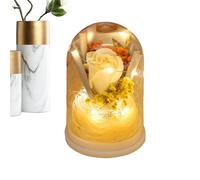 Rose - Veilleuse LED en verre avec dôme de fleurs de 5,91 × 4,13 pouces | Affichage de roses préservées de longue durée, décoration romantique de la maison pour les cadeaux d'anniversaire, de jour