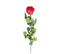 Rose véritable d'env. 50 cm de long stabilisée (durable) Amorosa rouge
