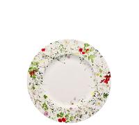 Rosenthal Brillance Fleurs Sauvages Assiette en Porcelaine avec Aile Multicolore 23 cm