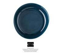 ROSENTHAL - Junto ocean blue - fond plat CM 22 - Revendeur Autorisée