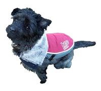 Rosewood Jouet pour Chien Luxe Night-Bright LED pour Femme