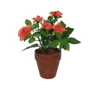 Rosier Artificiel - CHEMIN DE CAMPAGNE - Corail - Ø.7 x Ht.12 cm - Décoration Intérieure - Fleurs Artificielles
