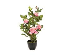 Rosier artificiel pot ciment H50cm - Atmosphera createur d'interieur - Rose