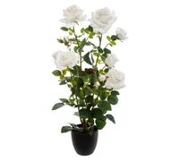 Rosier artificiel pot ciment H74cm - Atmosphera createur d'interieur - Blanc