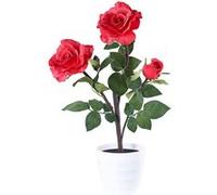Lunartec Rosier LED 3 fleurs rouge 50cm