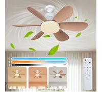 ROSNEK Ventilateur de plafond 52 cm 40W LED dimmable 2000 lm E27 - 3 vitesses, télécommande