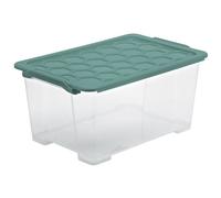 Rotho 1008105092 Boîte de rangement Rectangulaire Vert et Transparent Vert