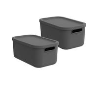 Rotho Albula Lot de 2 boîtes de rangement avec couvercle 12 l - Boîte de rangement avec 2 poignées - Fermeture sûre - Empilables et peu encombrantes - Facile d'entretien - Anthracite