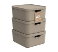 Rotho Albula Lot de 3 boîtes de rangement avec couvercle Beige 20 l | Caisse empilable de 20 litres