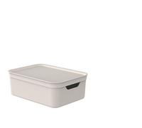 ROTHO Boîte de rangement "Alvra", 10 litres, lot de 6. Numéro d'article : 115762. Code-barres : 7610859287038