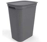 Rotho Brisen Collecteur de Lavage 50 l avec Couvercle et 2 Poignées, Plastique (PP) sans BPA, Anthracite, 50 l (43,1 X 34,0 X 52,9 cm)