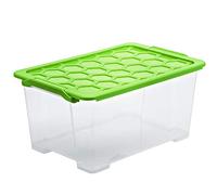 Rotho Evo Safe Keeping Boîte de Stockage 44 l avec Couvercle, Plastique (PP) sans BPA, Transparent / Vert, 44 l (59,0 X 39,5 X 28,0 cm)