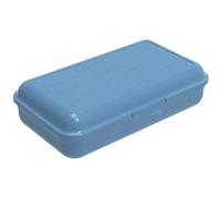 Rotho Fun boîte à lunch 1,7l avec cloison amovible, Plastique (PP) sans BPA, bleu, L/1.7l (24.5 x 14.5 x 6.5 cm)