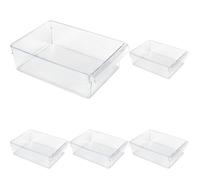Rotho Loft Frigorifero Organizzatore, Plastique (SAN) senza BPA, Trasparente, L/5L 31,0 x 22,0 x 9,0 cm (Lot de 5)