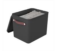 Rotho MyPaper Boîte d'archivage de documents My Paper Plus Plastique (PP) sans BPA Noir 40 x 29,2 x 29,8 cm