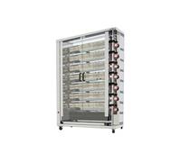 Rôtissoire à Gaz Professionnelle Haute Performance avec Broches Arilex 1 G