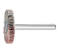 PFERD TOOLS 44401126 Roue à lamelles sur tige Diamètre 30 mm 10 pc(s)