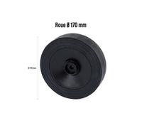 Roue d170