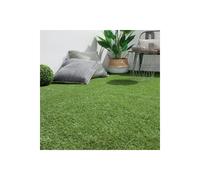 Rouleau de Gazon Artificiel Grass 100x300cm Vert