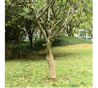vidaXL Rouleau de Jute, Ruban pour Bricolage Artisanat, Chemin de Table pour Mariage Fête Décoration Intérieur, 0,5x10 m 100 % Jute 200 g/m²