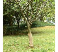 Rouleau de jute 0,5x50 m 100 % jute 200 g/m²
