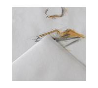 Rouleau de papier 1557® Dessin JA® 1,5x10m 180g/m², grain léger blanc pur