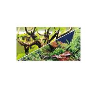 Rouleau double face-coupe Hobby Secret/ Wood Island Vert 120x50 cm