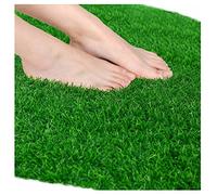 Rouleaux de Gazon Artificiel pour pelouse, Tapis de Gazon synthétique réaliste, 3 m, 4 m, 5 m, 6 m, 7 m de Longueur (Taille : 3 x 4 m)