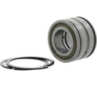 Roulement à rouleaux cylindriques SL045016 -D-PP-2NR - Diamètre intérieur : 80 mm - Diamètre extérieur : 125 mm - Largeur : 60 mm