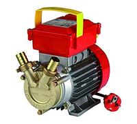 Champion Electropump Rover20Ce