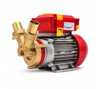 Rover Pompes ROVER 30CE Les Électropompes pour Transvasement Bisenso-Be-30 M