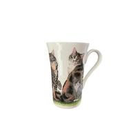 Roy Kirkham Tasse cannelée Tabby et blanc