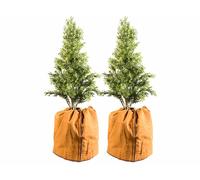 Royal Gardineer 2 housses d’hivernage pour pot 50 x 45 cm