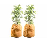 Royal Gardineer 2 housses d’hivernage pour pot 70 x 65 cm