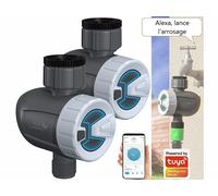 Royal Gardineer 2 programmateurs d'arrosage connectés BWC-520.bt avec commandes vocales