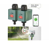 Royal Gardineer 2 programmateurs d'arrosage connectés BWC-610 compatibles commandes vocales