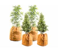 Royal Gardineer 4 housses d’hivernage pour plantes au format normal et XL