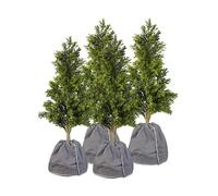 Royal Gardineer 4 housses d’hivernage pour pot de fleur - 50 x 45 cm et 70 x 65 cm - Anthracite
