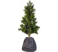Royal Gardineer Housse d’hivernage pour pot de fleur - 70 x 65 cm - Anthracite