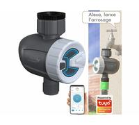 Royal Gardineer Programmateur d'arrosage connecté BWC-520.bt avec commandes vocales