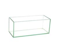 Royal Imports Claro Vase à Fleurs en Verre avec Tige Centrale décorative pour Mariage ou Maison 25,4 cm