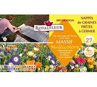 Royalfleur PFS308354 Graines de des Mélange de Fleurs mon Massif Multicolore-Nappe
