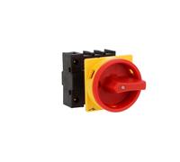 Interrupteur principal 3P+N 40 A P1-40/EA/SVB/N 199896