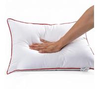 RTSFKFS Insert de Coussin Grande Taille Carré Rectangulaire Garnissage Ouate Polyester Moelleux pour Canapé Lit Salon Décoration Intérieur, Tailles Personnalisées Disponibles(55x75cm)
