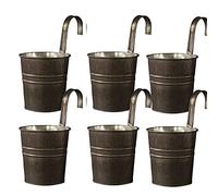 RTWAY Lot de 6 pots de fleurs à suspendre en métal avec crochet amovible