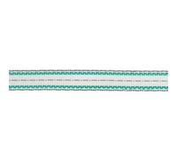 Ruban de clôture Ako Premium Plus Blanc 200 m/20 mm