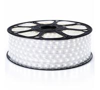 Ruban LED Professionnel 5050 60 LED/m de 25 ou 50 mètres Blanc Froid étanche (IP68) (Longueur: 25 mètres)