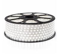 Ruban LED Professionnel 5050 60 LED/m de 25 ou 50 mètres Blanc neutre étanche (IP68) (Longueur: 50 mètres)