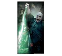Rubie's 5000090 Harry Potter Couverture de porte décorative en plastique Voldemort