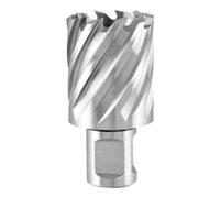 Ruko Fraises à carotter HSS attache Weldon (3/4"). Ø 53 mm Quantité:1